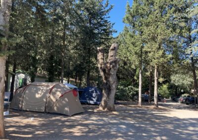 Emplacement Camping de Taradeau